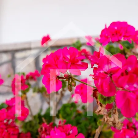 El Jardin De Pruvia